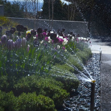 West Vancouver Irrigation