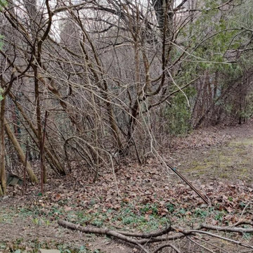 The old grey fence on the Oakville property line before replacement