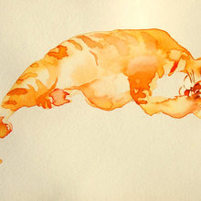 watercolor ***cats and creatures**