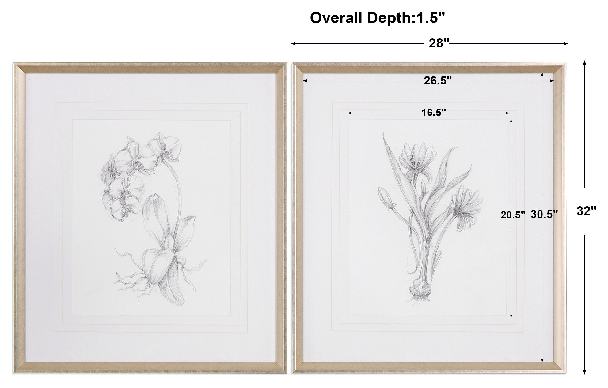 Uttermost "Botanical Sketches" 2-Piece Framed Print Set, 28"x32"