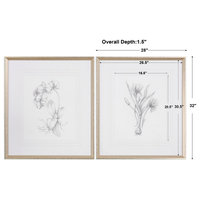 Uttermost "Botanical Sketches" 2-Piece Framed Print Set, 28"x32"