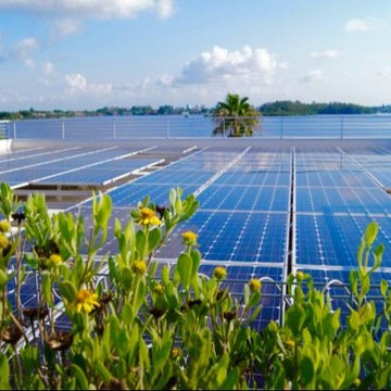 Solar Panels overlooking Siesta Key