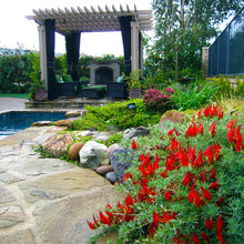 Pool Deck Gazebo
