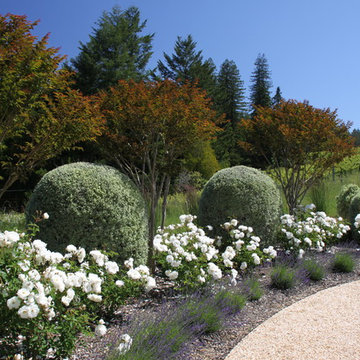 Freestone Estate Planting