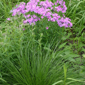 Prairie Gardens