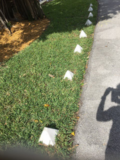 How to Keep Cars from Parking on My Lawn: Proven Solutions
