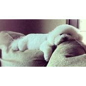 Johanna Clapp's photo