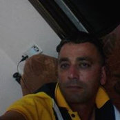 בלוט טרב טרביהs foto