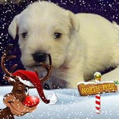 Tamara Van de Poel's photo