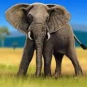 Tammy Goodell's photo