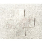 Amy Hester's photo