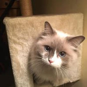 Bronte Farmilow's photo