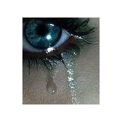 Judi Villa's photo