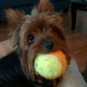 Carlos Pelay's photo