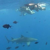Natália Machado's photo
