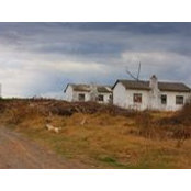 Beryl MB's photo
