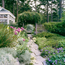 Front Perennial Bed