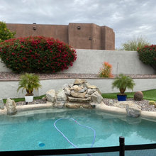 AZ- Spring Landscaping