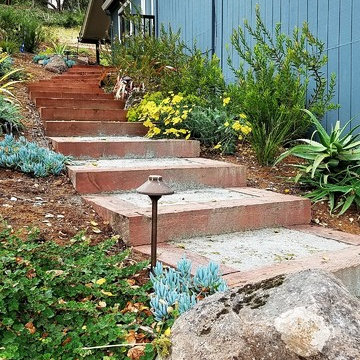 Aptos Hills Deer-Resistant and Drought-Tolerant