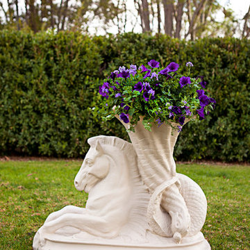 Sea Horse Urn