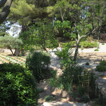 Emergence d'un jardin zen