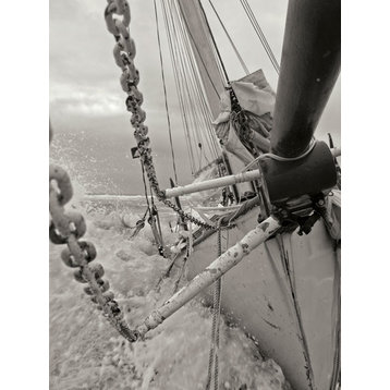 Fine Art Photograph, Life at Sea II, Fine Art Paper Giclee