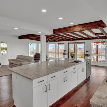 Mid Century Renovation - Lemoyne, PA