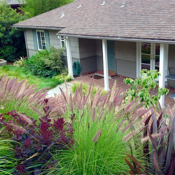 Sunken Garden