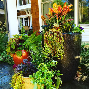 Fall Container Garden Design