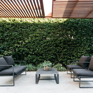 Inspiration for a large contemporary backyard patio in Sydney with a pergola.