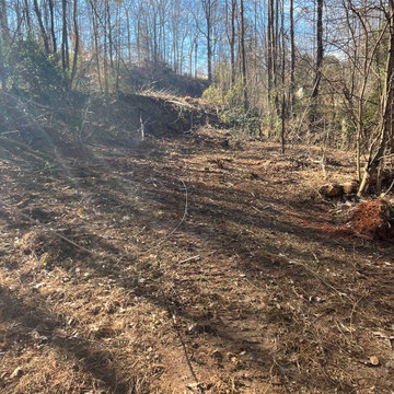 Landscaping , yard clean up trash and debris