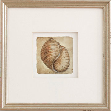 Small Shells in Distressed Warm Silver #2 Artwork