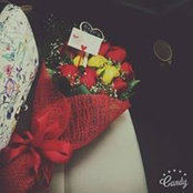 Yasmin Osama's photo