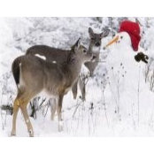 Kathy Slaven's photo