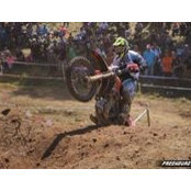 Simon Testard's photo