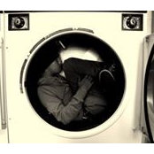 Davy Tamさんの写真