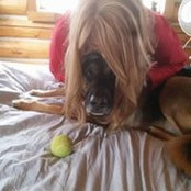 Beth Neiss's photo