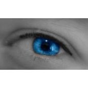 Michele Montefrisco's photo