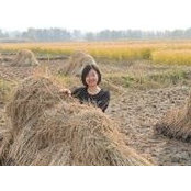 Jian Gong's photo