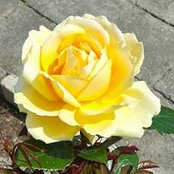 Foto von Manuela Veit