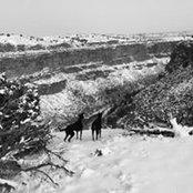 Cheri Schumann's photo
