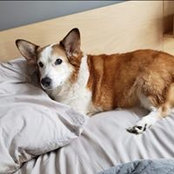 John Bernier's photo