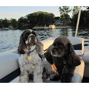 Deb Drummond's photo