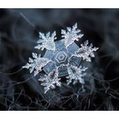 Chris Lawrence's photo