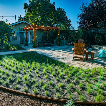 SLO Backyard Dream
