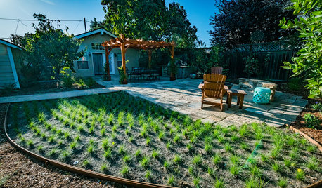 Read This Before You Buy New Plants