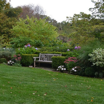Boxwood bench