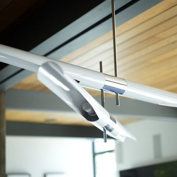 Ray Kappe LEED Pre-fab
