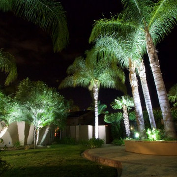 Sprawling Avacado and Palm Tree farm in Somis, California