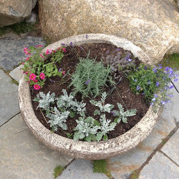 Seasonal Container Plantings & Changeovers